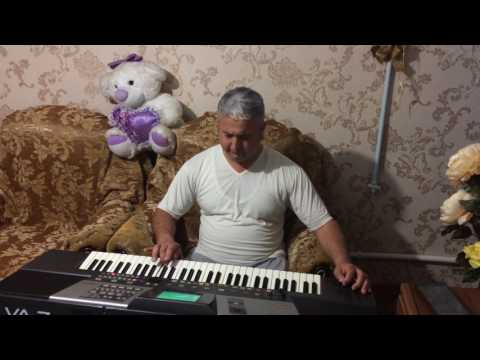 Nesimi sintez Selimov Shamil Xanaev