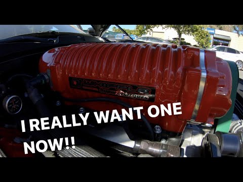 SHOULD I PUT A WHIPPLE SUPERCHARGER ON MY HELLCAT???