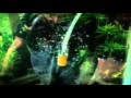 CO2 Caseiro Com Gelatina Wmv