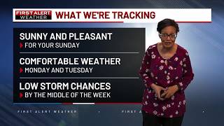 Your First Alert Forecast