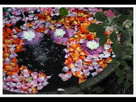 In The Garden - Evie Karlsson