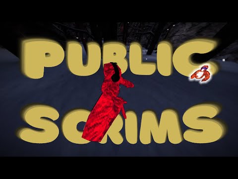 Public Scrims are CRAZY . . .  | Gorilla Tag Pro vs Kids