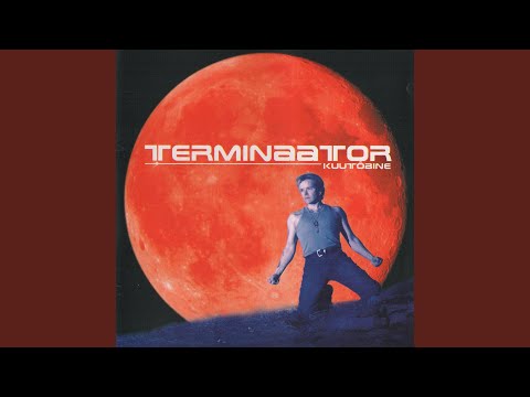 Vastasmaja aknad - Terminaator