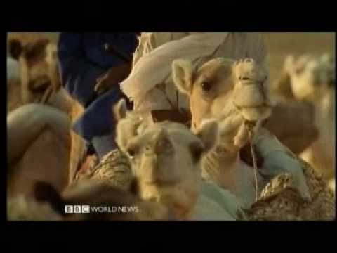 The Lost Libraries of Timbuktu 1 of 5 - BBC Travel Documentary