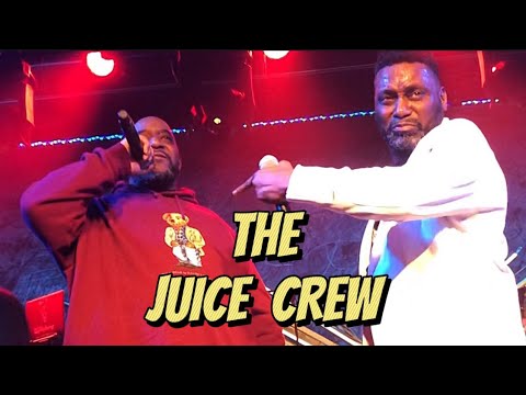 JUICE CREW LIVE IN CONCERT 2019 NYC BIG DADDY KANE, KOOL G RAP, BIZ MARKIE, ROXANNE SHANTE