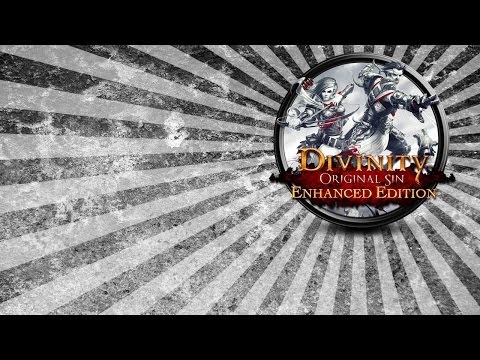 Local Co-op/Divinity: Original Sin Enhanced Edition