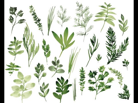 Ancient Herbs