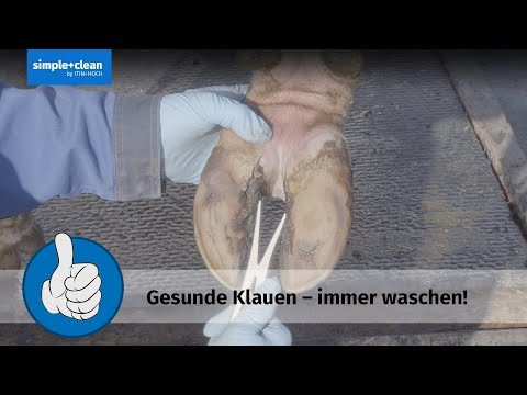 Gesunde Klauen – immer waschen!