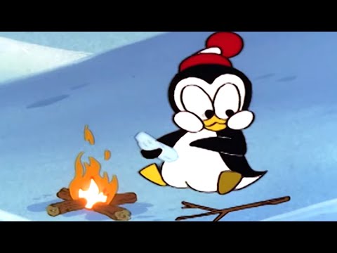 Picolino em Português 🐧Espécie Ameaçada 🐧Episódios completos | Desenhos Animados