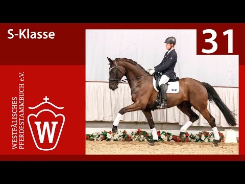 31 S-Klasse Wallach v. Sir Donnerhall I - Florestan I