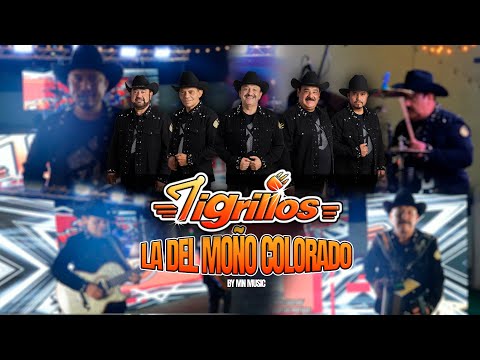 Los tigrillos - La del moño colorado(En vivo) 