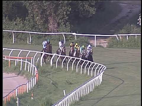 Galoppo 28/06/2019 - 3ª corsa