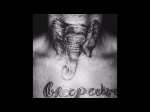 Video thumbnail for TheresAnElephantInTheRoom