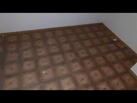 odwiedziliśmy opuszczone osiedle GROZY. czyli osiedle dudziarska w Warszawie.