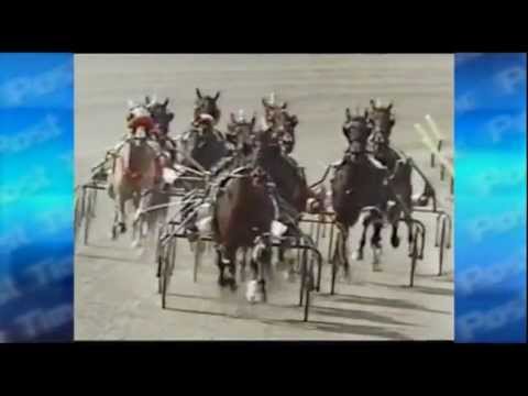 Harness Racing Museum & Hall of Fame's "AT THE GATE"