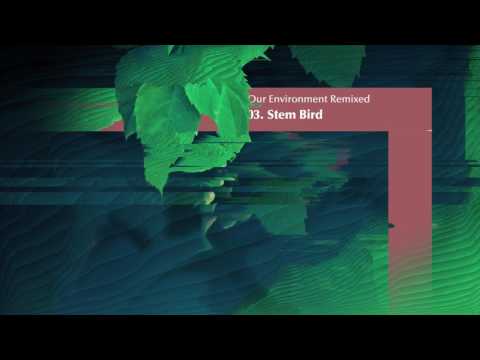 Iszlai - 03 - Stem Bird
