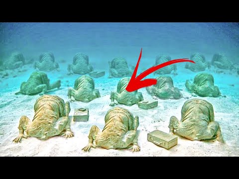 Amit sikerült kamerával rögzíteniük, megdöbbentette a világot