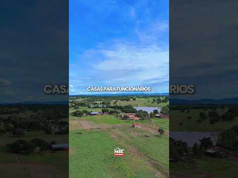 FAZENDA À VENDA DE 399 ALQUEIRES – ARAGUAPAZ, GOIÁS - IDEAL PARA PECUÁRIA INTENSIVA #fazendaavenda