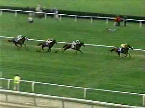 1998 Turf Classic