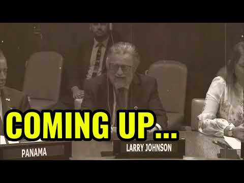 Larry Johnson addresses the United Nations on Ukraine