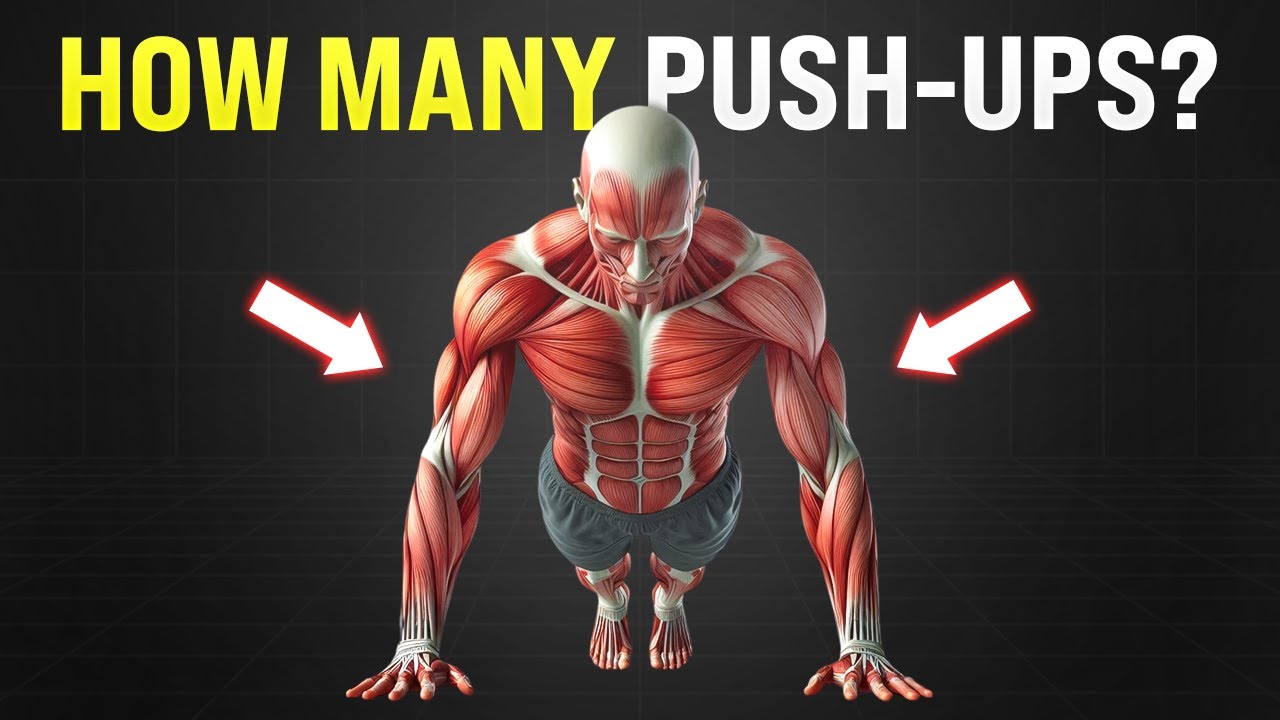 How Many Push Ups Should You Do Daily To Build Muscle