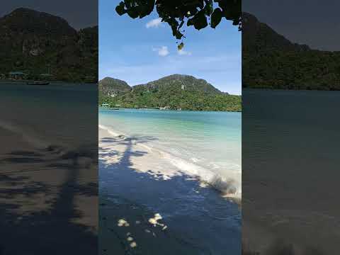#thailand #phiphiisland#beach#summer #2024