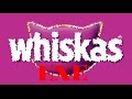 Whiskas.exe #6 - Плохая концовка 