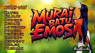 Download lagu MURAI BATU EMOSI MUNTAH ISIAN!! mp3