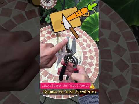 Difference between Bypass and Anvil secateurs - This Will Help You #shorts #youtube #gardening