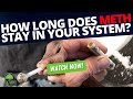 How Long Does Meth Stay In Your System