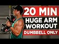 20 MINUTE ARM WORKOUT DUMBBELLS ONLY
