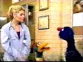 Sesame Street Gina S New Assistant Grover