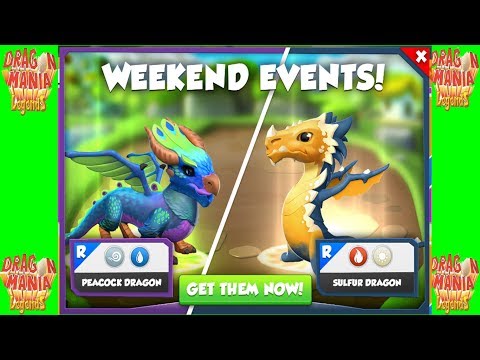 [WEEKEND EVENTS] + ENCHANT DRAGON BATTIE | Dragon Mania Legends | part 339