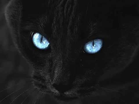 4 Clubbers Feat. Silvy - Time (Electro Remix)