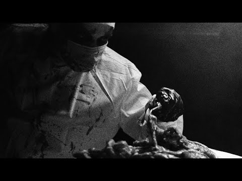 Nedrugh - Black Swans