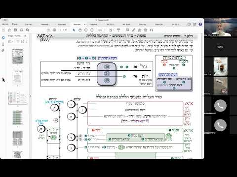 הרב יואל חקון - נענועים תשפ״ו - שיעור 02 - הלכה למעשה
