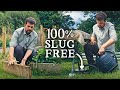 10 Best & Cheap Ways to Get Rid of Slugs in Your Garden