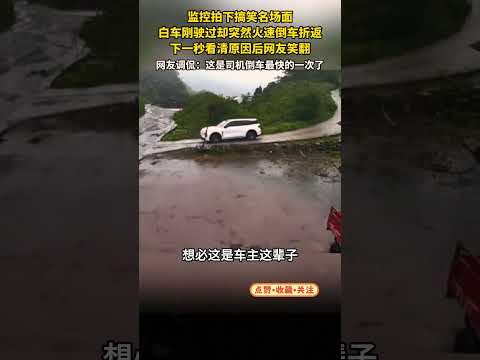 白车刚驶过却突然火速倒车折返 #大熱門 #automobile #搞笑 #電影 #影視解説  #movie #感人壹幕 #寵物友善日常 #正能量剧情 #funny