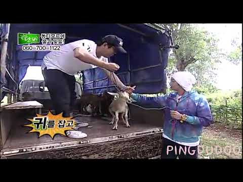 [CUT] BEAST (비스트) Scared DooJoon #1 @ M|3C D@n|3! 100704