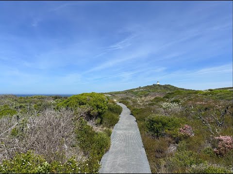 Sydney Cape Baily Lighthouse (1) - Far Away in the Sky (October 5th, 2025)