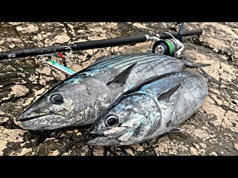 Shore Fishing on a remote Island CROATIA