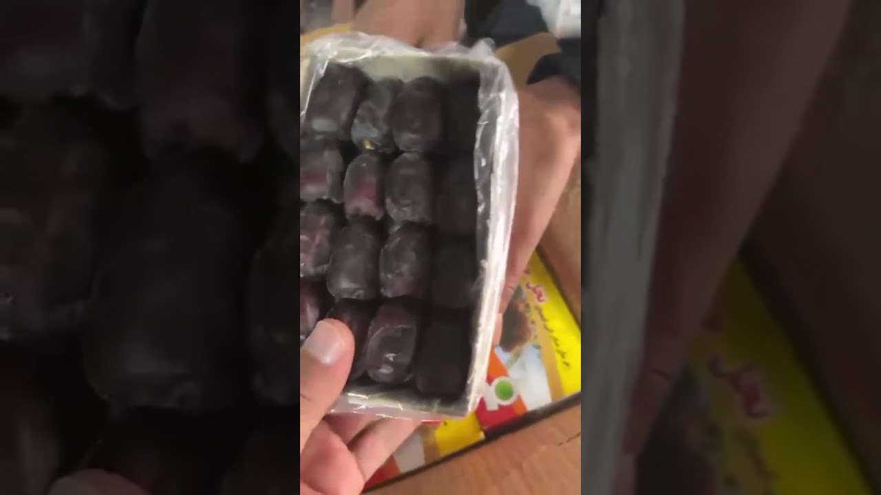 Iranian Dates Export | Premium Quality – Direct from Doustan Brand