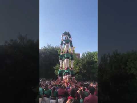 video-cover