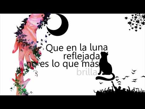 Brock Ansiolitiko - Feliz (LETRA - Lyric Video)