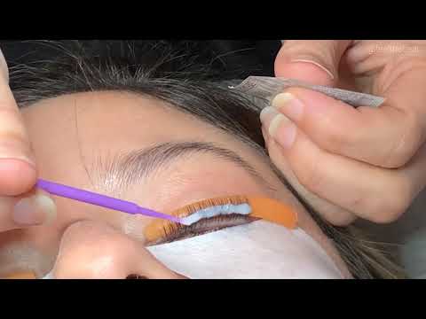 download lagu mp3 mp4 Elleebana Lash Lift Price, download lagu Elleebana Lash Lift Price gratis, unduh video klip Elleebana Lash Lift Price