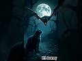 Cat Vs Vampire Bat Viralshorts Catlovers