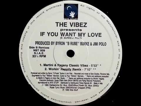 The Vibez - If You Want My Love (Workin' Happily Remix)