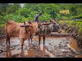 Vat Disu De Ga Deva WhatsApp Status Video