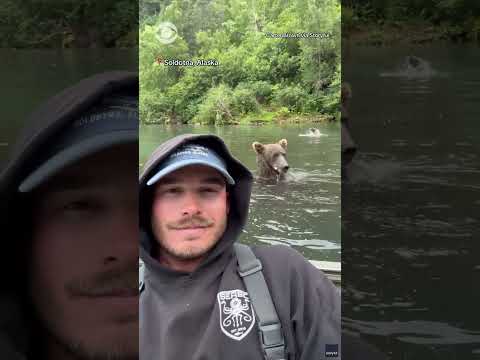 Grizzly bear shares her fishing spot with Alaskan fisherman #shorts