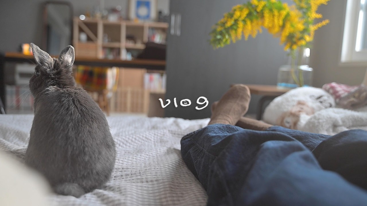 每月一次的兜風🚙🐇🌼月に一度のドライブ